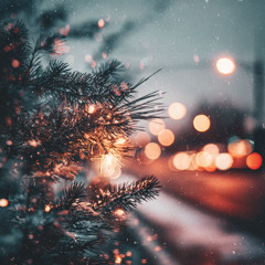 All the Lights of December