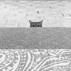 LANDO + Sam Ites - March 11, 2020