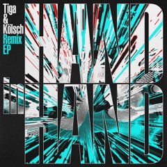 Tiga & Kolsch - Hand In Hand (Rebūke Remix)