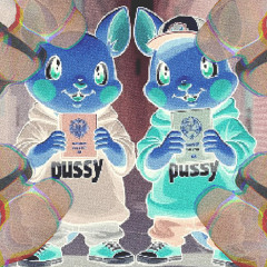 PUSSY IMPORTADA
