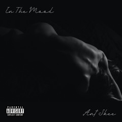 In The Mood - Ant Skee