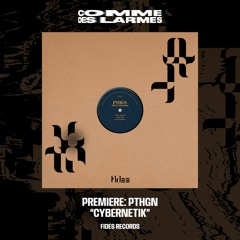 PREMIERE CDL || PTHGN - Cybernetik [Fides Records] (2023)
