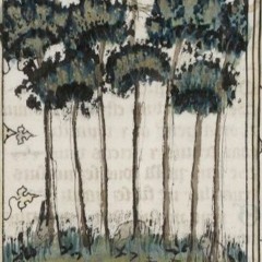 SANS ORIGINE - CHANT IX - BOSQUET