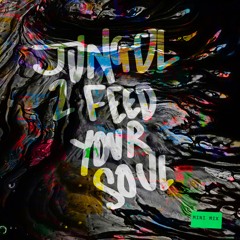 Jungol 2 Feed Your Soul (Mini-Mix)