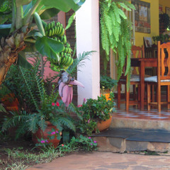 MHTML (prod . Musikal )