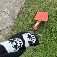 naked skeleton sailor.wav