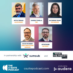 Show 254 - Tackling Fraud in Banking and Payments - Money20/20 Europe Part 6
