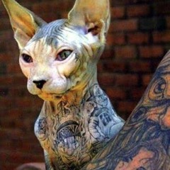 Dead Prez - Cop Shot (feat. Scruff Mcgruff -26 P.L.P.).mp3