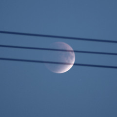 moon eclipse dub session