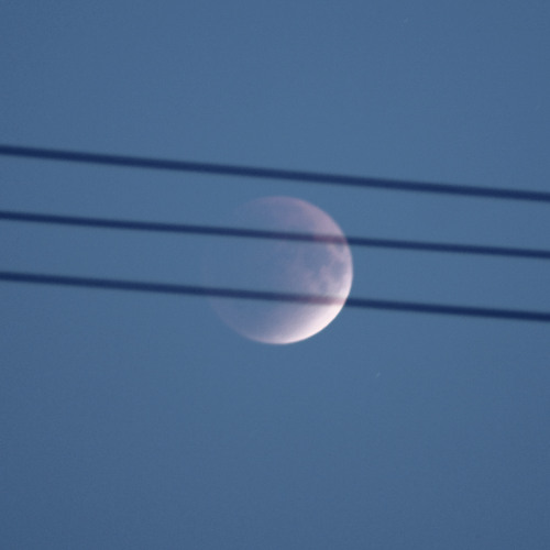 moon eclipse dub session