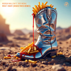 Morgan Wallen ft. Tate McRae - What I Want (Disco Fries Remix)