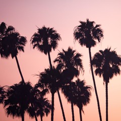 Summer Breeze '24 - Sophisticated Summer Soirée Set