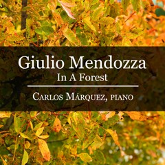 Giulio Mendozza: In A Forest