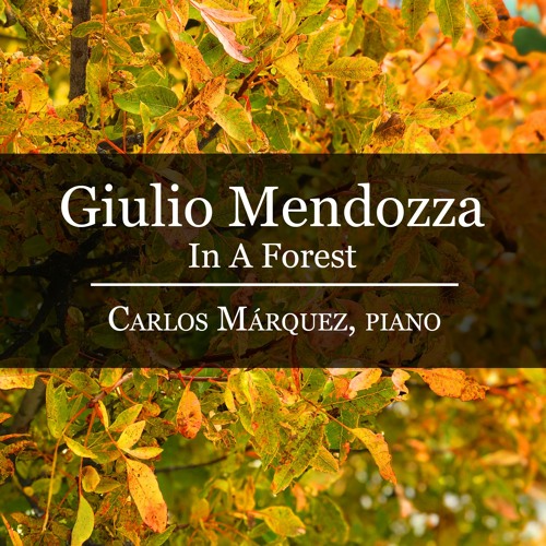 Giulio Mendozza: In A Forest