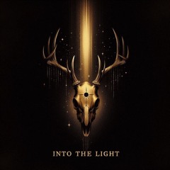 Into The Light.mp3
