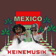 Episode V: Keinemusik Mexico City Inspired Set - curated by The Dude
