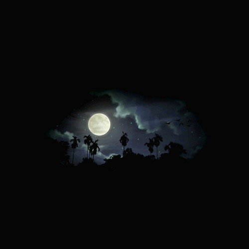 My Own Hole of Darkness!