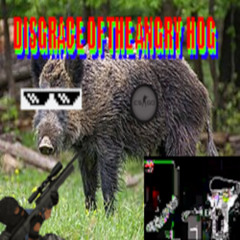 Disgrace of The Angry Hog