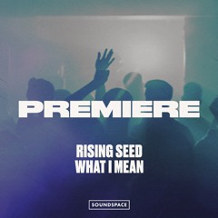 Premiere: Rising Seed - What I Mean [Luv Shack Records]