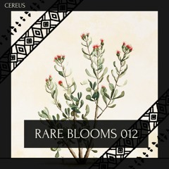 Cereus - Rare Blooms 012