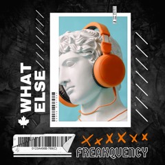 Freakquency - What Else (Prod. By Mathijs Lauwers)