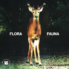 DATSKO - Flora/Fauna EP (Reboot Records IRE)