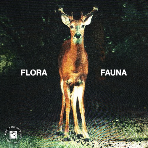 Flora (Reboot Records IRE)
