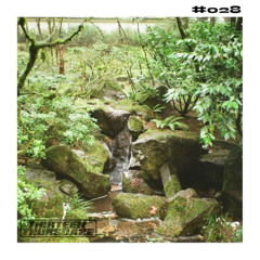 #028 shane o'neill's sk8board company