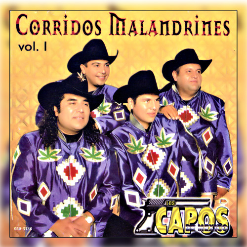 Stream El Hijo de la Riata by Los Capos De México Listen online for
