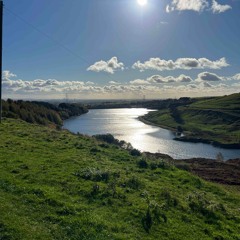 Denon Reed Boxers 25 ( Oglesby Remix )