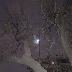 L A  S E I N E- english version (slowed and reverb)