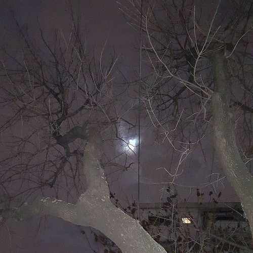 L A  S E I N E- english version (slowed and reverb)