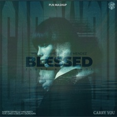 Martin Garrix, Third Party & Oaks Vs. Mike Williams, Robbie Mendez - Carry You Blessed (PLN Mashup)