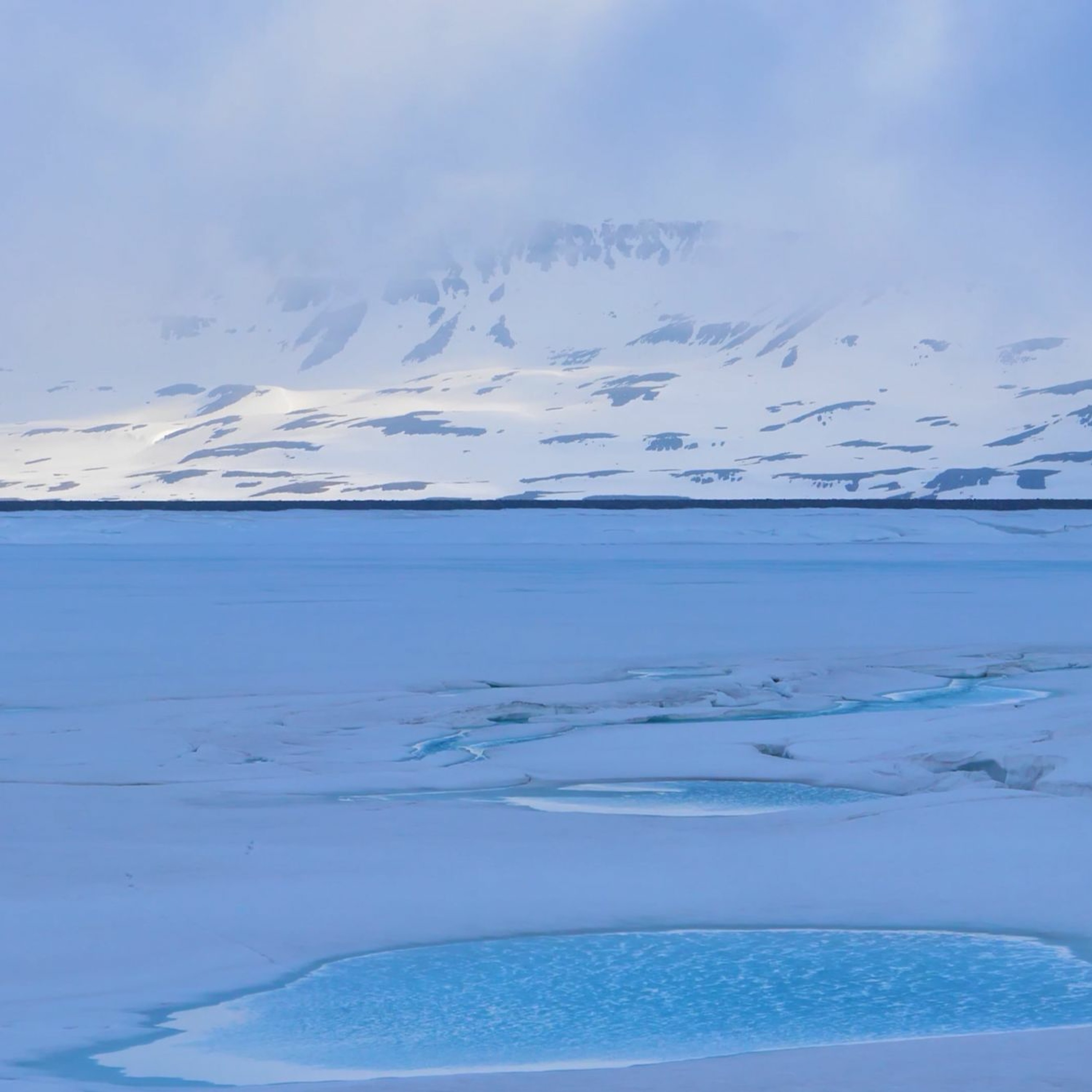 Antarctica episode artwork