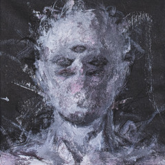 SAMA - MXMN005: Phoneutria