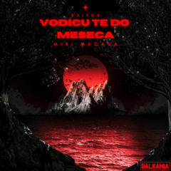 Miki Mecava - Vodicu te do meseca (Exitor Mashup)