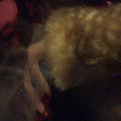 hella cute (tiedforsilver x sorrow bringer)