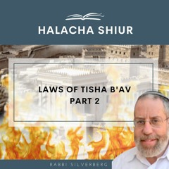 Laws of Tisha b'Av #2