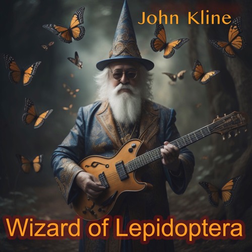 Wizard Of Lepidoptera