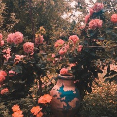 Frank Ocean - Dear April Acoustic Version(Reverb)