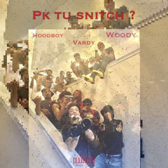 pk tu snitch- & hoodboy + woody (no mix)