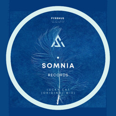 Pyrrhus - Lucky Cat Original Mix (The stillness between EP) 12.12.25 Beatport Exclusive