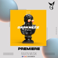 PREMIERE: Darknezz - Return To Space (Original Mix) [Natura Viva Black]