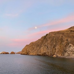 Ronin Pauses (to Mediate in Manor's Forest Park)