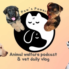 Paw's Power Podcast #1 Нохойн талаар ярилцах уу?