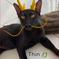 TÌNH TA HAI NGÃ TÌNH TA HAI NGÃ REMIX - AKI KHOA ( LIN ANUBIS REMIX ) Tại Sao Anh Còn Thương Em Mãi