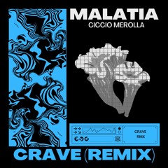 Ciccio Merolla - Malatia(Crave RMX)