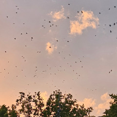 Sensible (je suis juste moi)