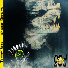 ♱⧆MM🜃 R🜲$$ - Alligator Flow(Money)