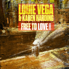 Free To Love (David Morales Disco Loop Mix)